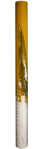 Wing on Yellow.jpg