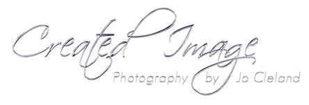 Transparent Logo.png