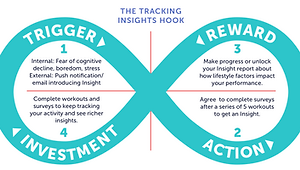 hook-canvas-insightsSurvey.png