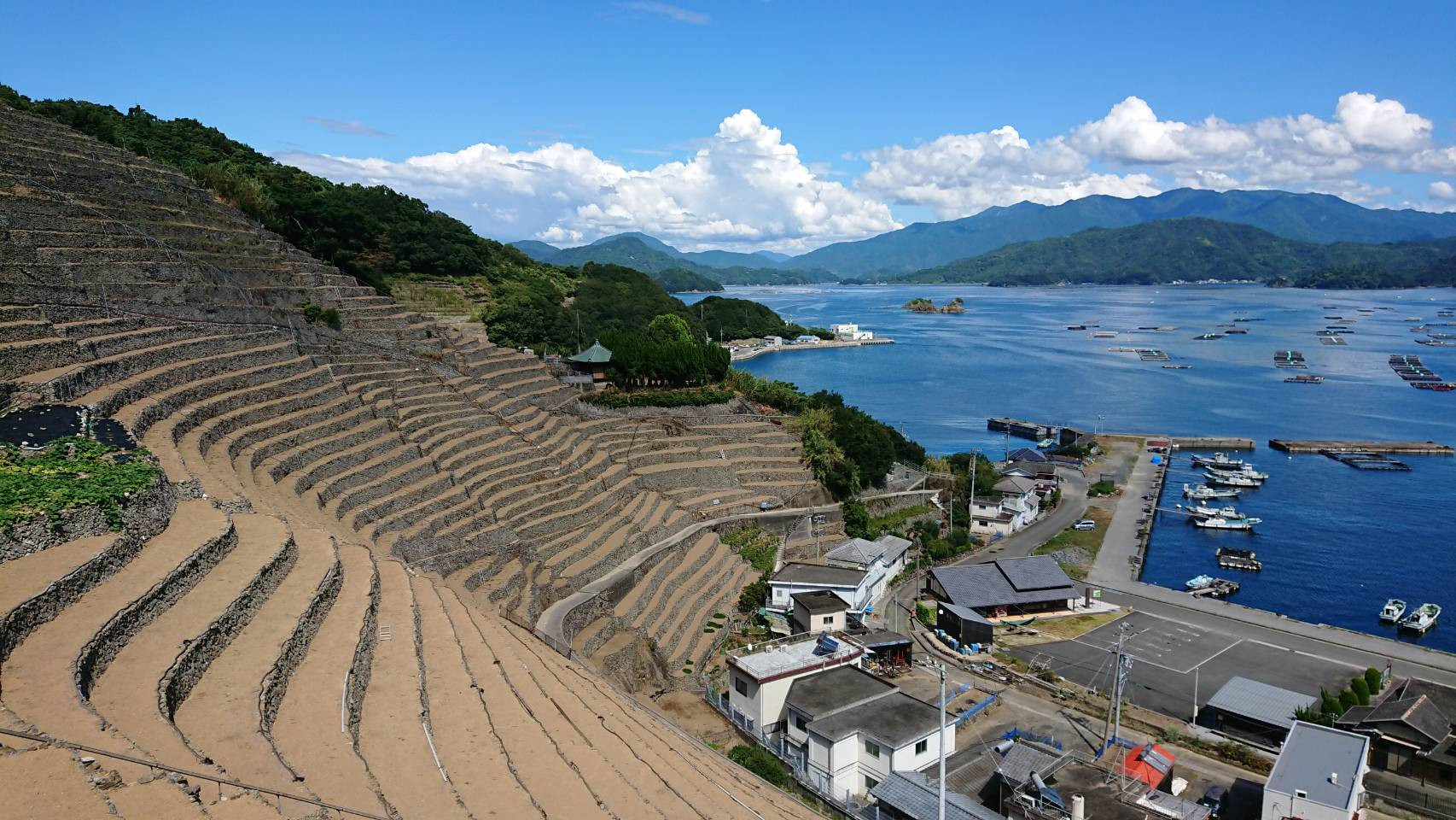 予約お問合せの写真(愛媛県宇和島市)
