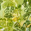 Thumbnail: Green Faces In A Circular Fashion