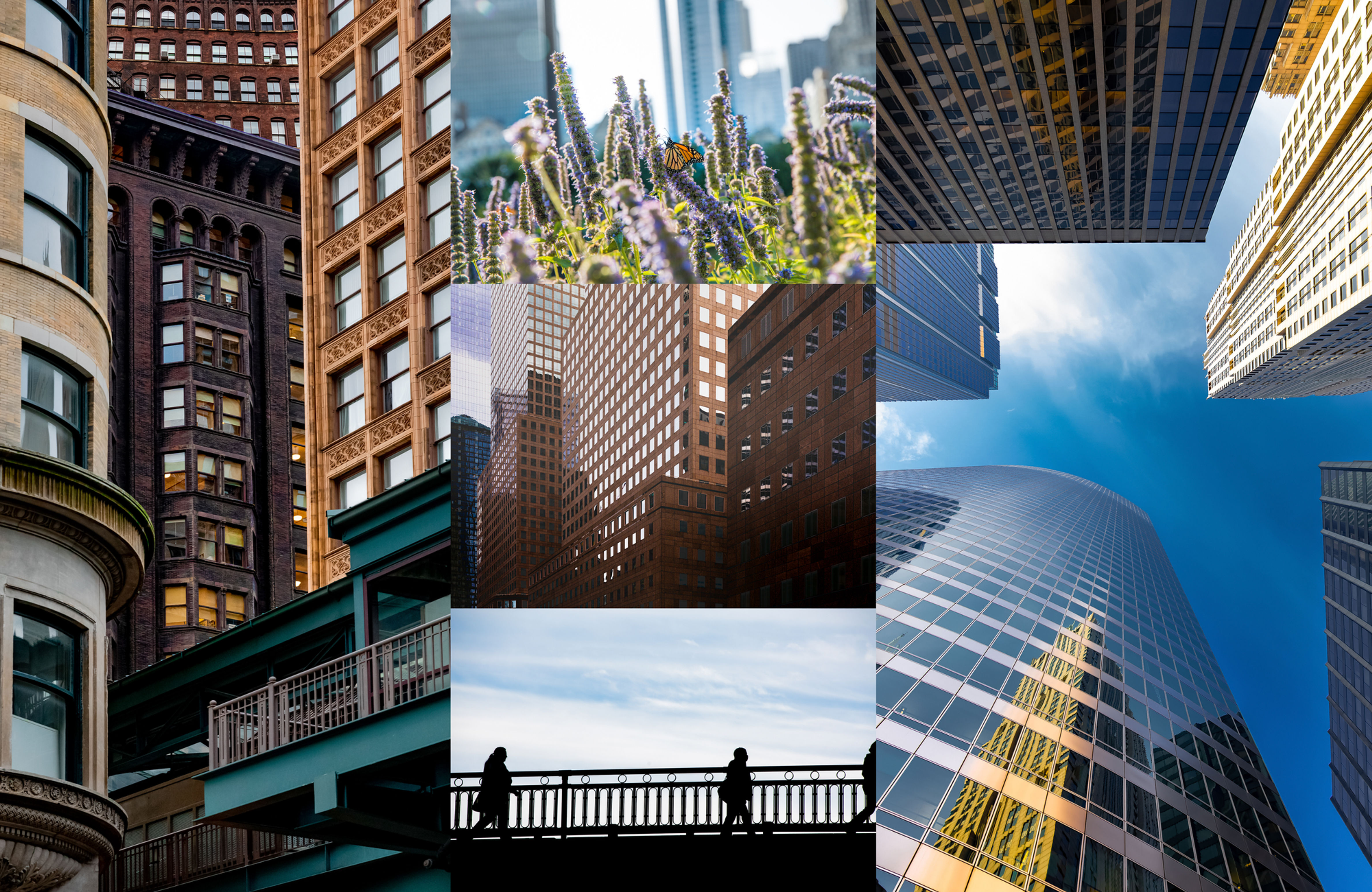 City Views - Set of Five Greeting Cards