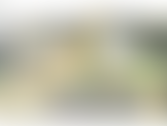 State Route 156/Castroville Boulevard Interchange Update
