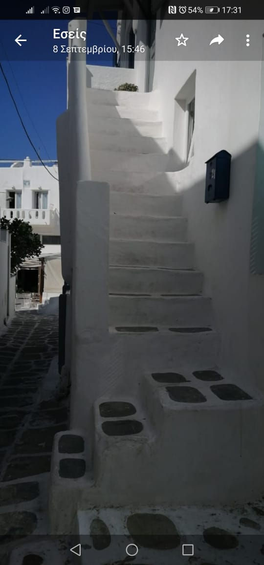 Die Insel der Reichen, der Gassen und der Hundescheiße - Mykonos