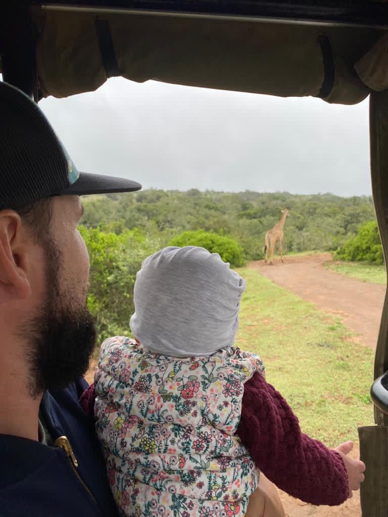 Hauptsache in Bewegung - Safari