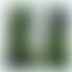 Look No Mow with Perez Landscaping #operez570 #LookNoMow #perezlandscaping