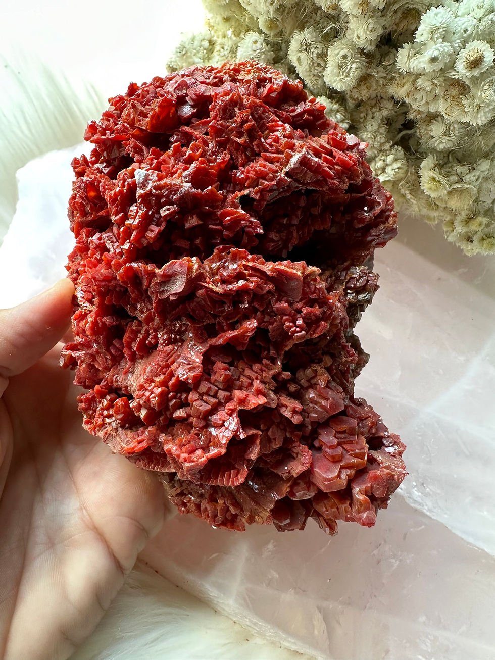 Thumbnail: Large High Grade Vanadinte Crystal specimen from Morocco 