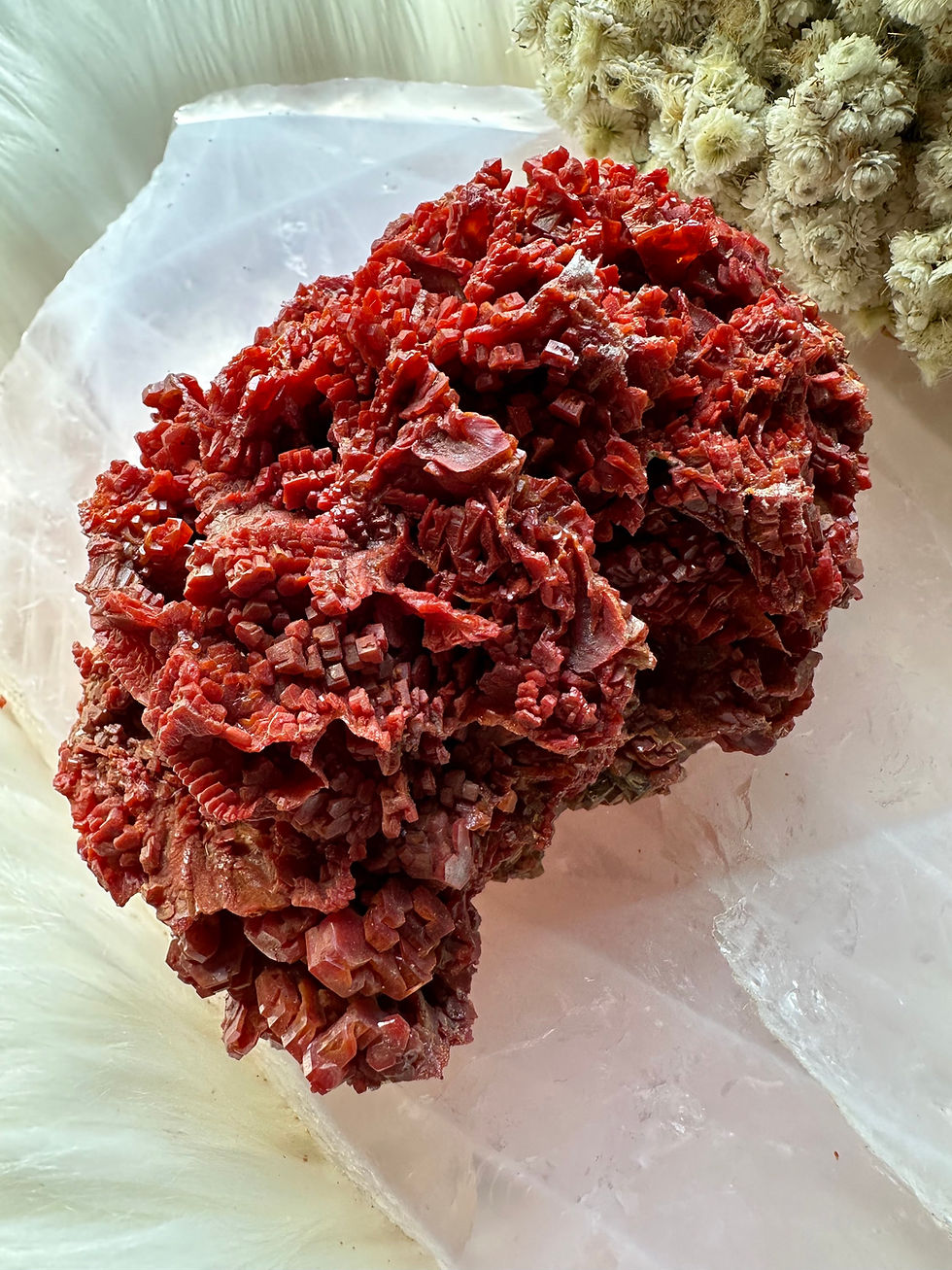 Thumbnail: Large High Grade Vanadinte Crystal specimen from Morocco 