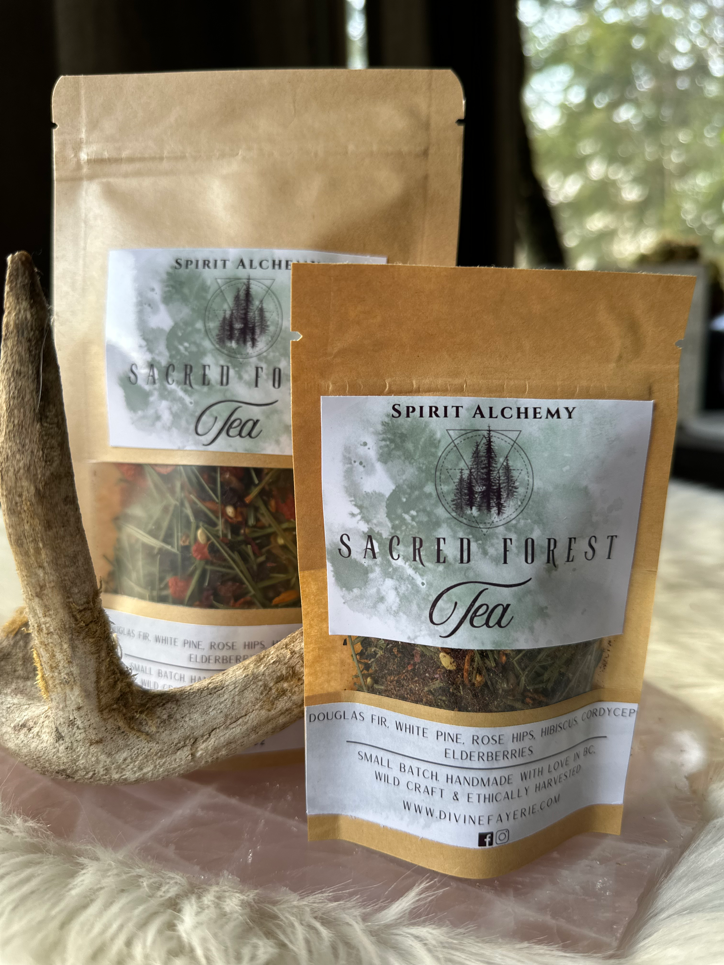 1 oz size Sacred Forest Tea Blend- Immune system- Vitamin C Boost 