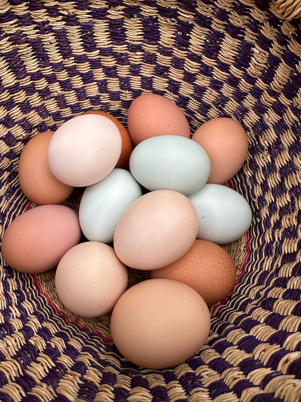 Thumbnail: 3 dozen eggs 