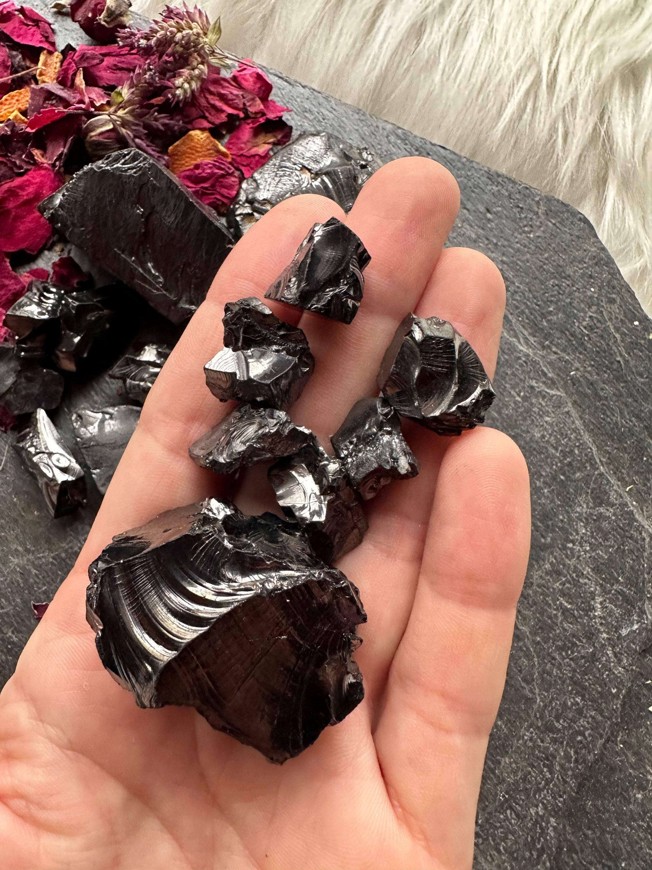 Large Piece of Elite Shungite from Russia  