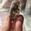 Thumbnail: Smokey Quartz Crystal Zomba Malawi Africa 