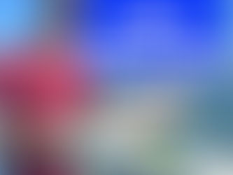 Top 5 Flashers for Salmon Fishing?