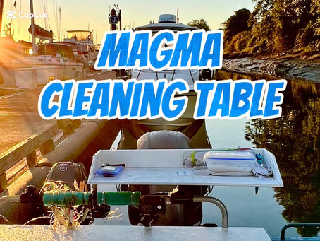 Review - Magma Bait/Filet Mate Table