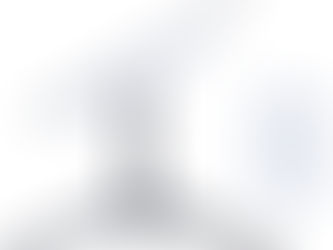 Review: Starlink Roam.