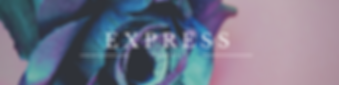 express (3).png