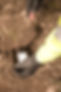 MurrayEnvironmentalPromo-web-146_edited.jpg