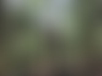 VIETNAM (3) : KISAH PARA GERILYAWAN DAN RASA SEPI ITU