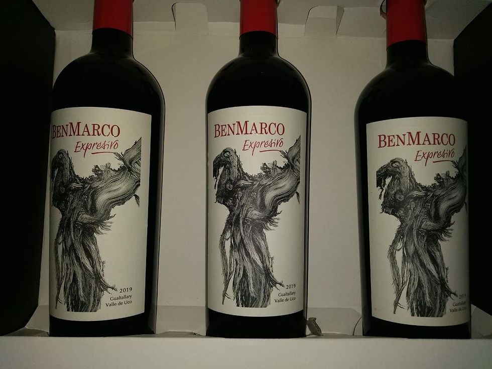 Miniatura: Ben Marco Expressivó