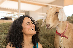 Chanella goat & Maia Kincaid Animal Comm