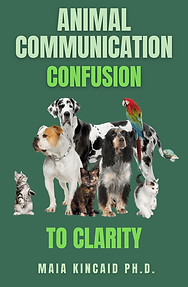 Animal Communication Confusion To Clarity ebook cover.png