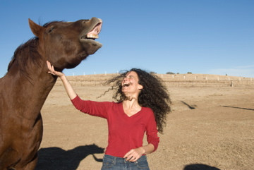 Animal Communication World Maia Kincaid Red the horse
