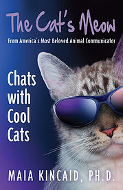 Chats with Cool Cats.jpg