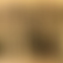 Party is Held for 1937 Siloam Springs Basketball Pantherettes