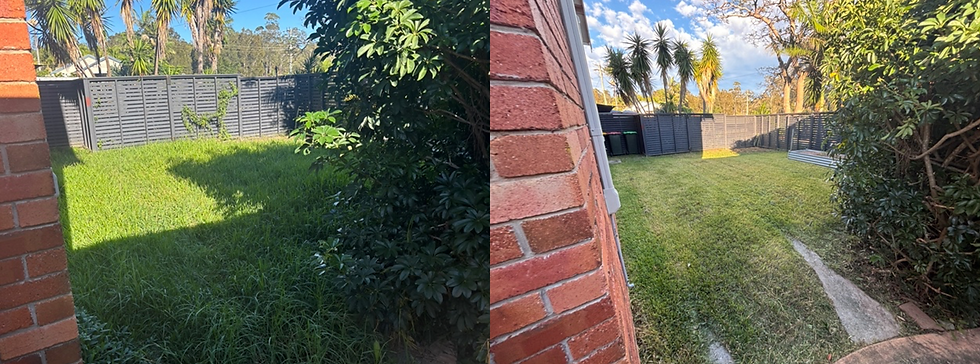 front yard.png