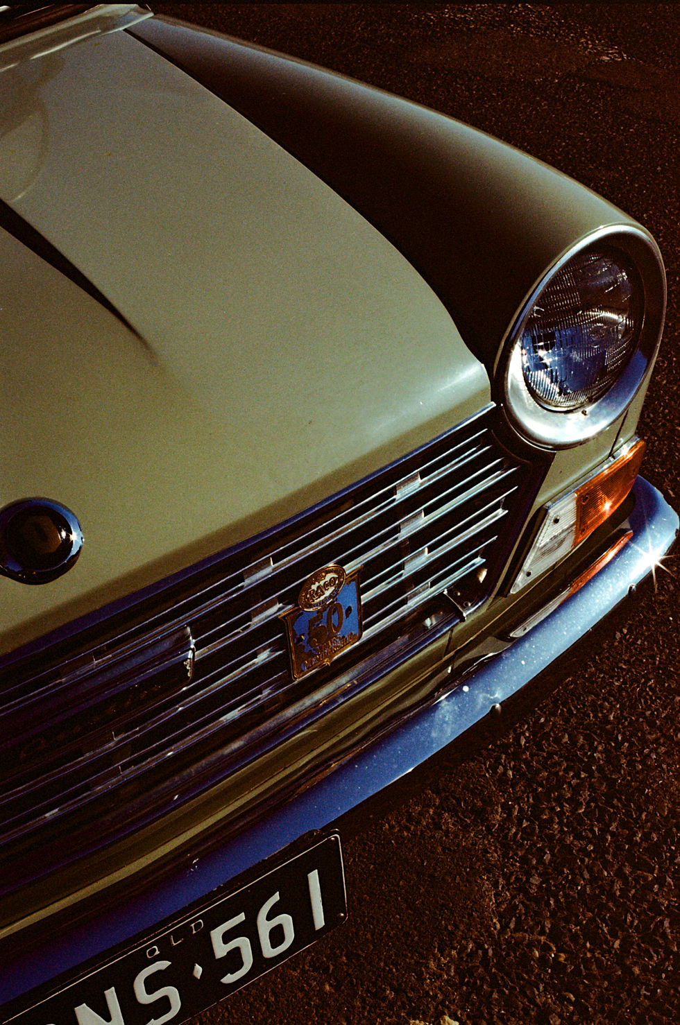 Thumbnail: Squeak & Shine