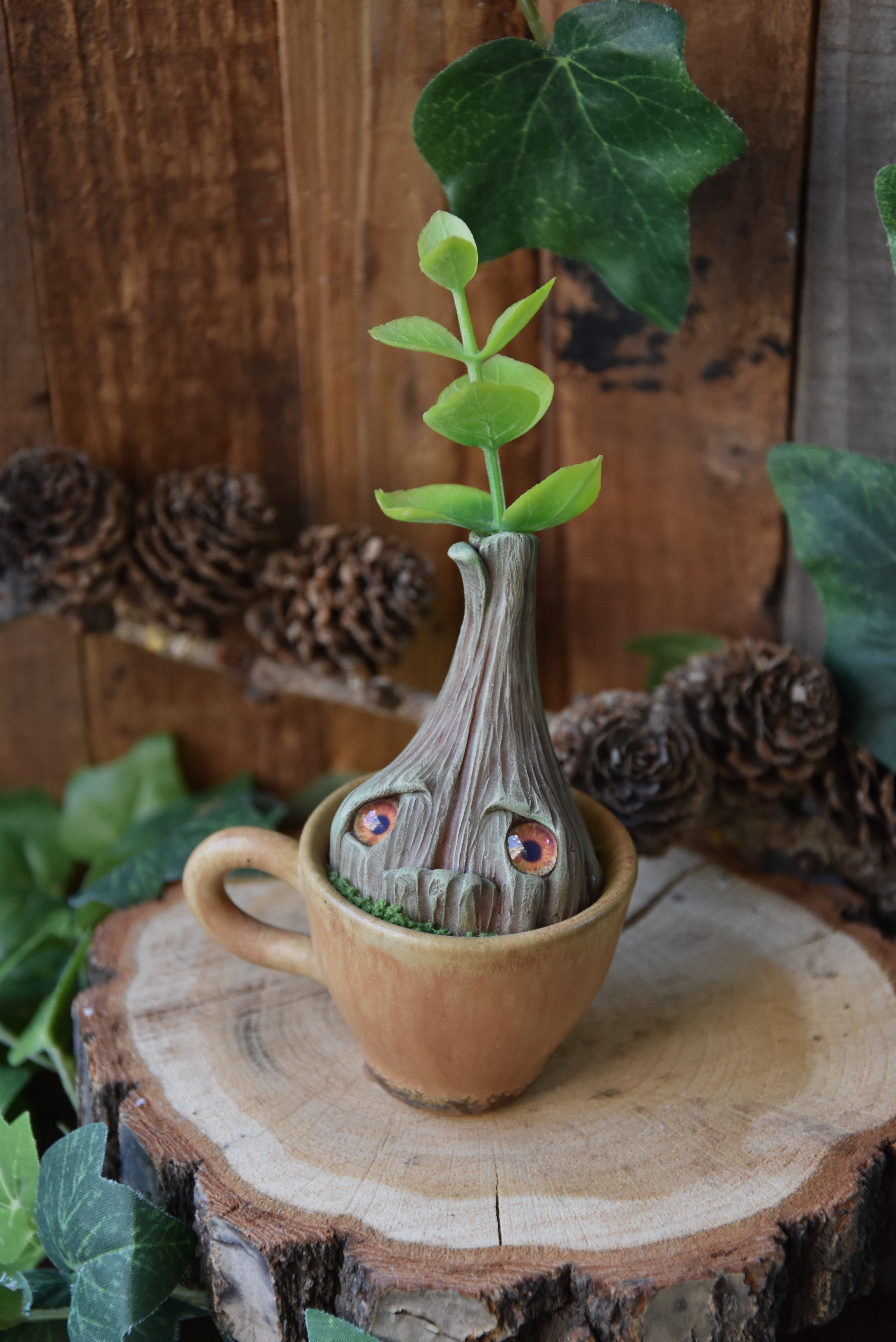 Pousse de la Sorcière - Margot