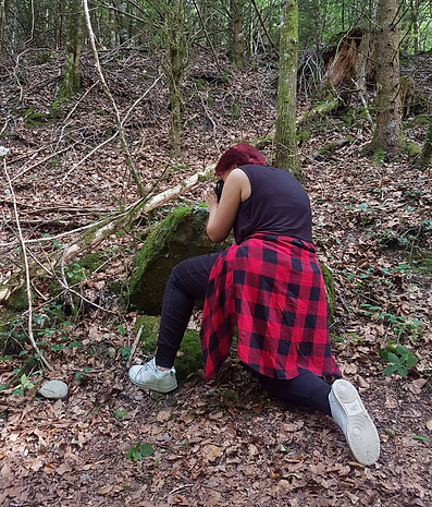 forêt à propos (2).png