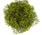 tree-png-top-view-furniture-1024.png