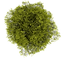 tree-png-top-view-furniture-1024.png