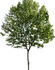 87f3f19103d1680b20752ad958626858.png