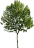 87f3f19103d1680b20752ad958626858.png