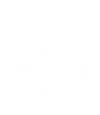 Thrive Skin logo-06.png