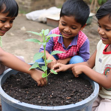The Eco Crusaders of EI: Leading a Quiet Revolution