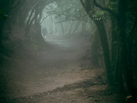 A Hazy Path