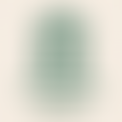 Hindi Poetry Evening