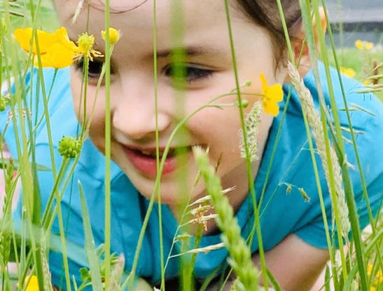 little girl photographed in grass and buttercups lying down