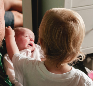 toddler reaching out to her newborn baby sister using natural window light