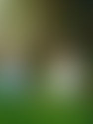 Isla & Emily - Family Photos at Harmony Gardens, Scottish Borders