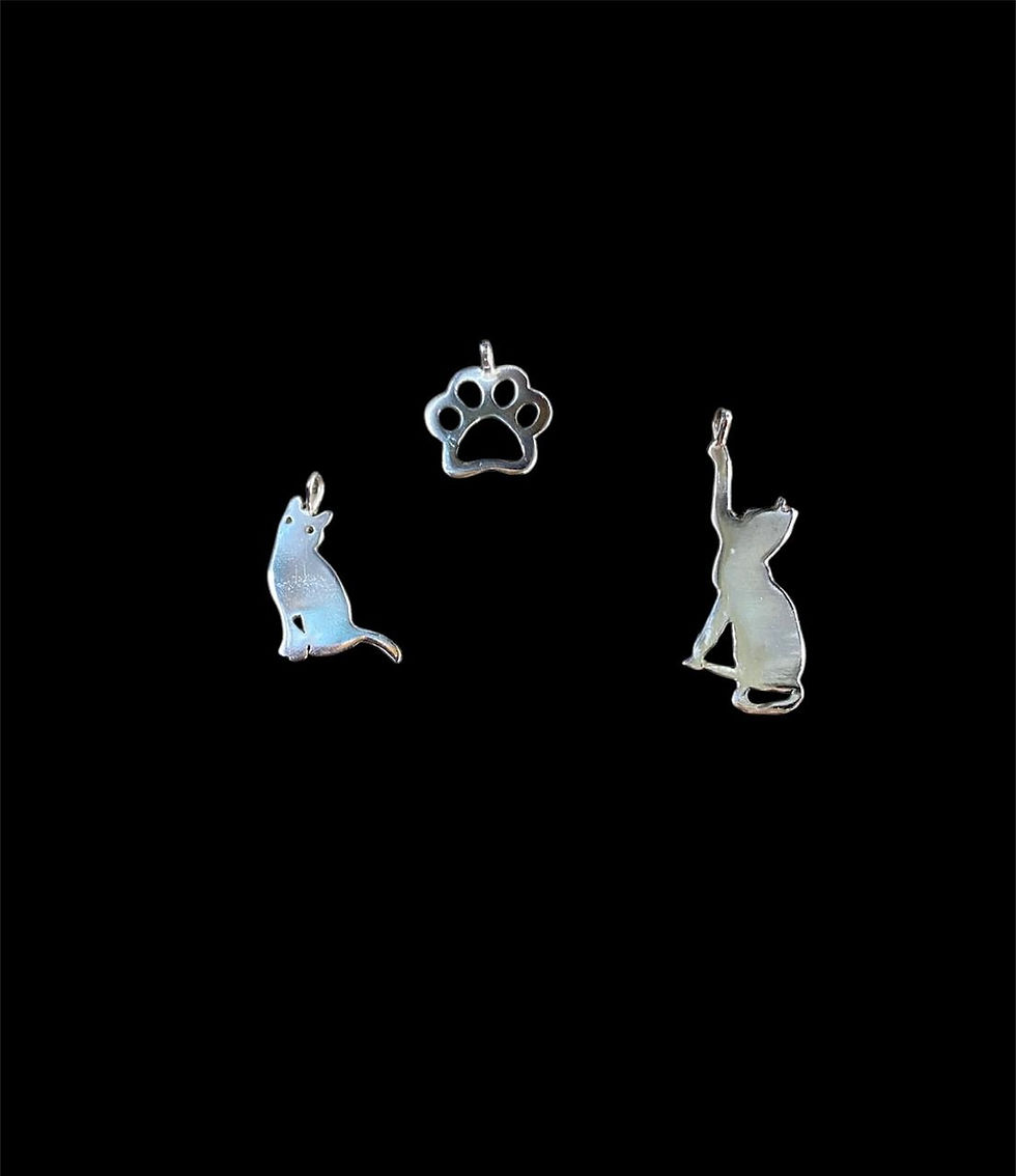 Miniatura: Pingente Patinha de Prata