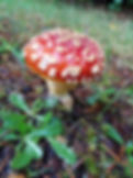 20211107_113630.jpg