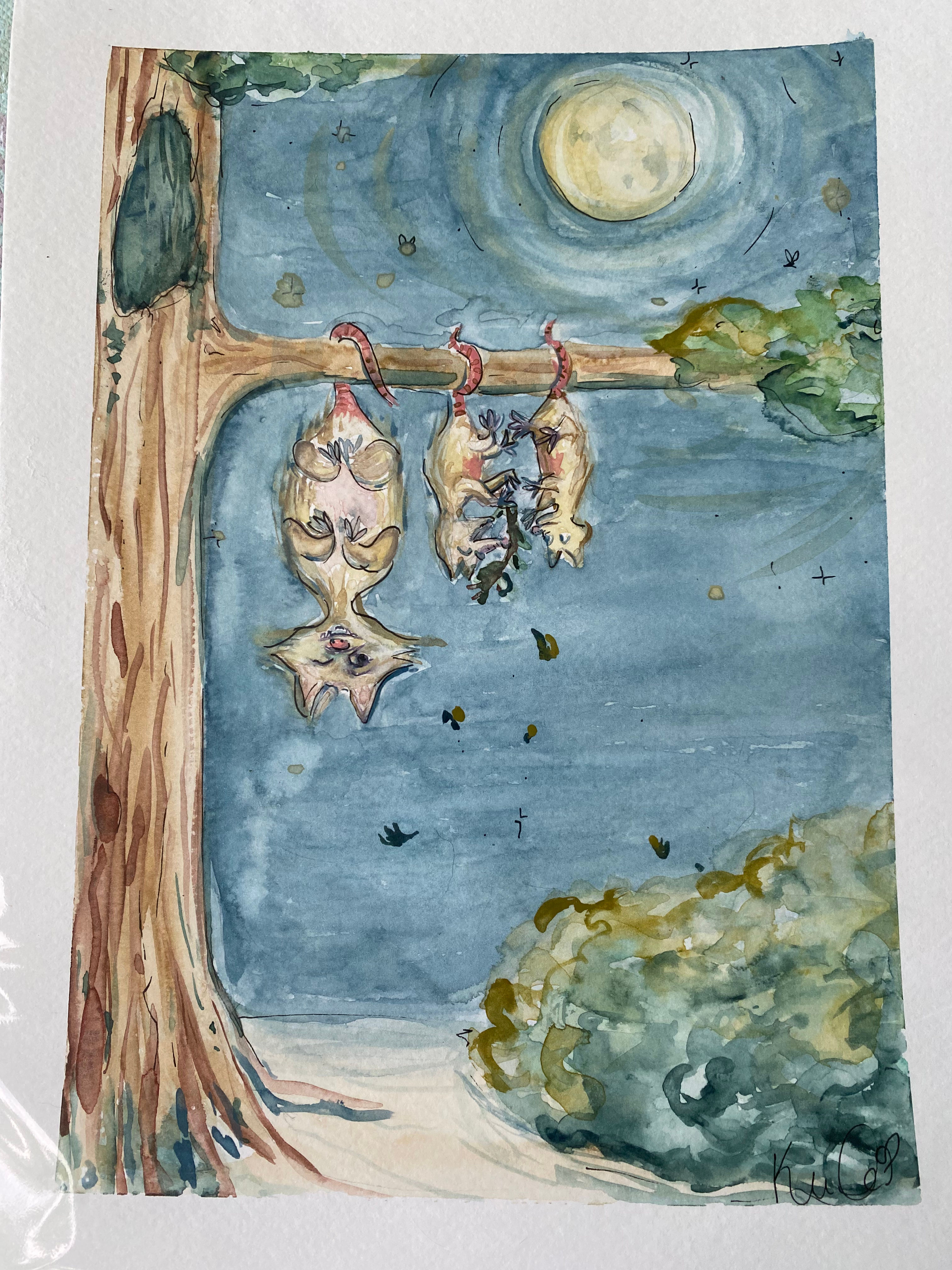Opossum playtime watercolor original 9x12