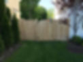 FENCE 18.jpg