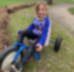 pedalcart.jpeg