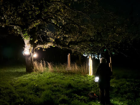 Installation lumineuse « Ogham et Hamadryades » de Marie-Laure Teisseire au pied d’un cerisier, lors de la balade nocturne Les Arts sous la Lune à Saint-Didier-de-Bizonnes.