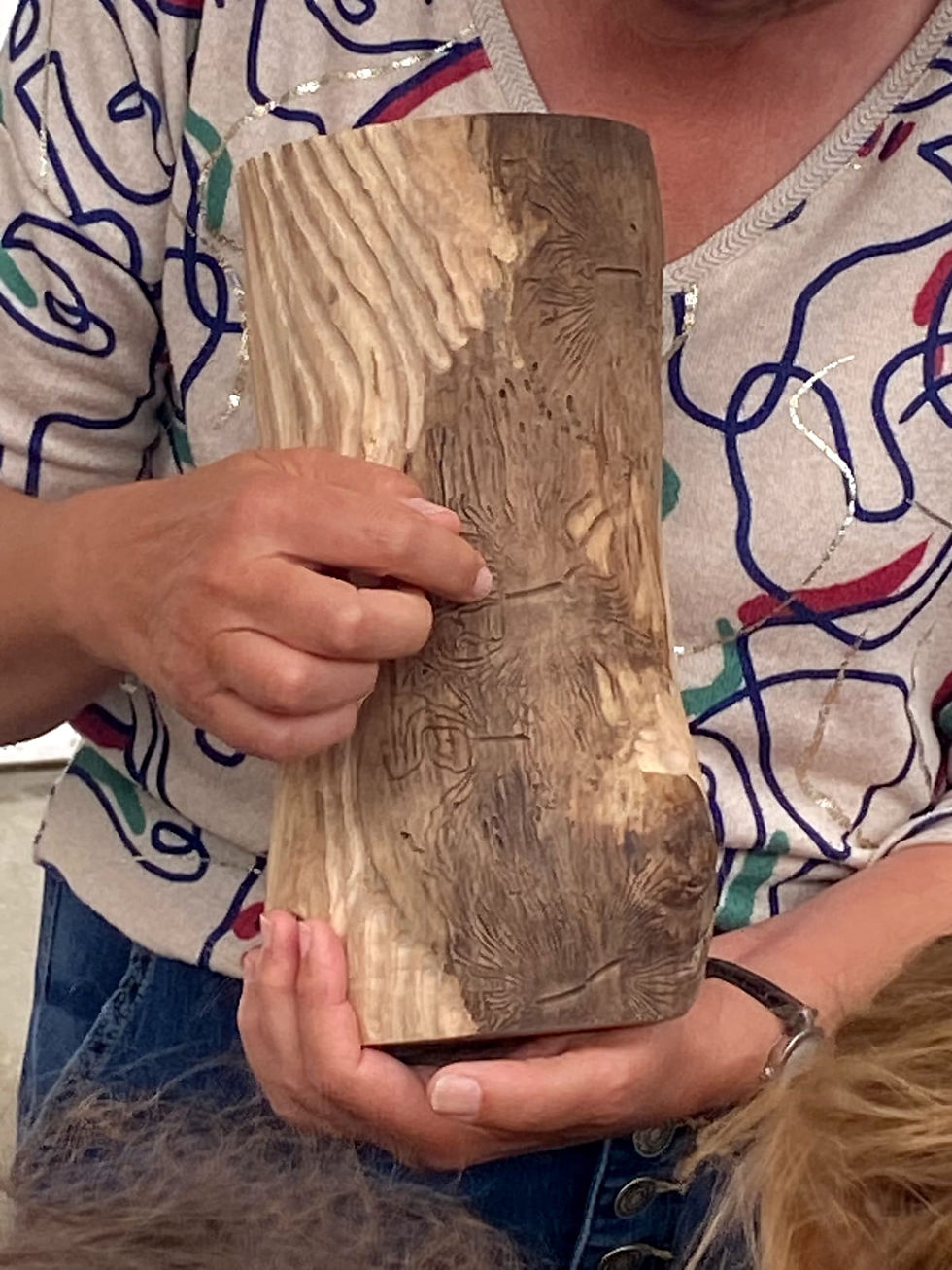 Tronc de frêne marqué par des galeries de scolytes présenté à des enfants lors d'une exposition à l'espace Gyltiss.